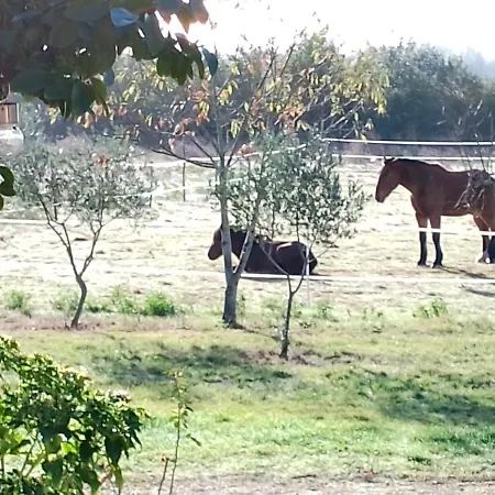 Quarto em Acomodações Particulares La Riviere Damazan