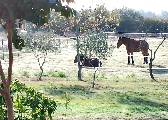 Accommodatie bij particulieren La Riviere Damazan